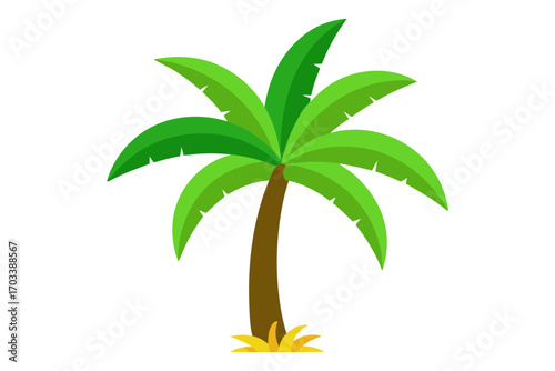 palm tree vector illustration