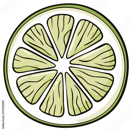 Bright green lime slice illustration with distinct segments and juicy texture