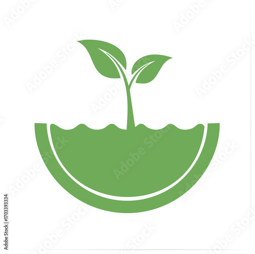 Green Sprout Germinating in Soil, Showing Growth and New Life