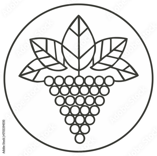 Grapes and Leaves Elegant Icon Vine Symbol Wine Badge Vineyard Vector