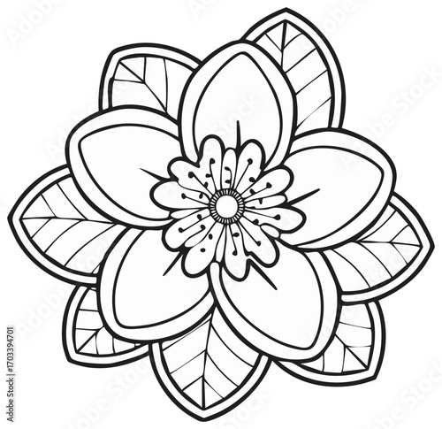 Blooming flower illustration, black outlines, white petals and leaves - vector