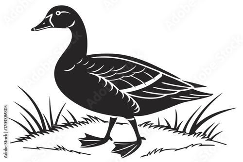 Black Silhouette Duck Standing in Grass.