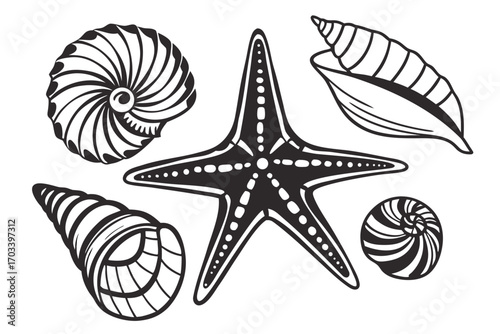 Collection of Stylized Seashells and Starfish.