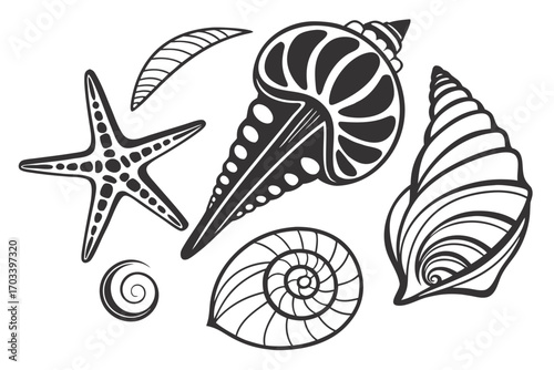 Collection of Stylized Seashells and Starfish Illustrations.