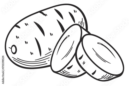 Hand Drawn Potato Slices and Whole Potato.