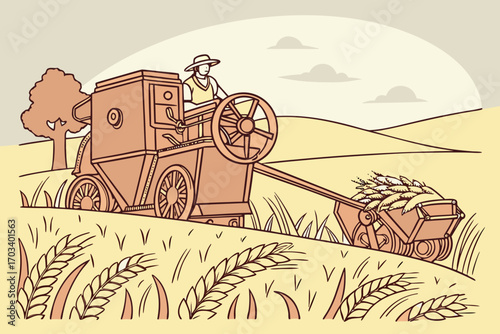 Vintage farmer operating a combine harvester in wheat field.