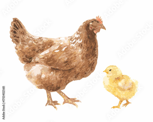 Watercolor painting of a mother hen and her chick on a white background