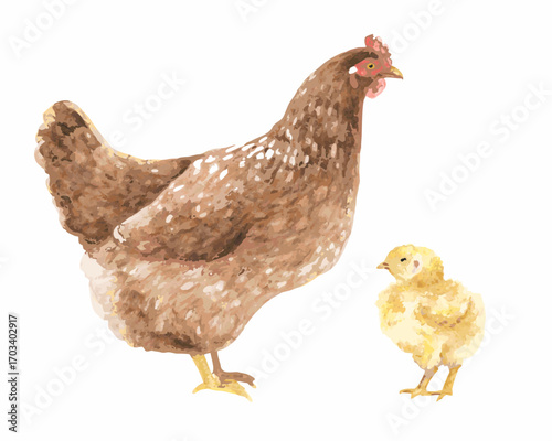 Watercolor painting of a mother hen and her chick