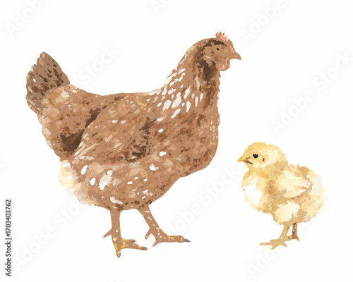 Watercolor illustration of a mother hen and her chick on a white background