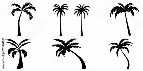 Collection of black palm tree silhouettes on white background