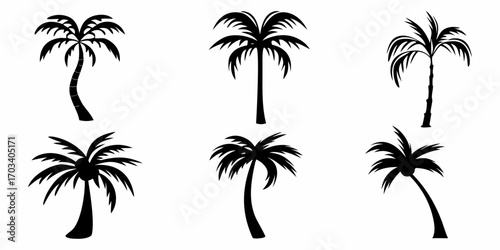 Collection of six black silhouette palm trees on white background