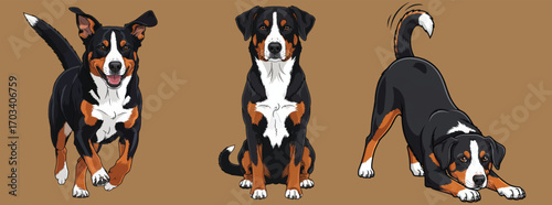 Appenzeller Sennenhund dog profile pose set cute illustration