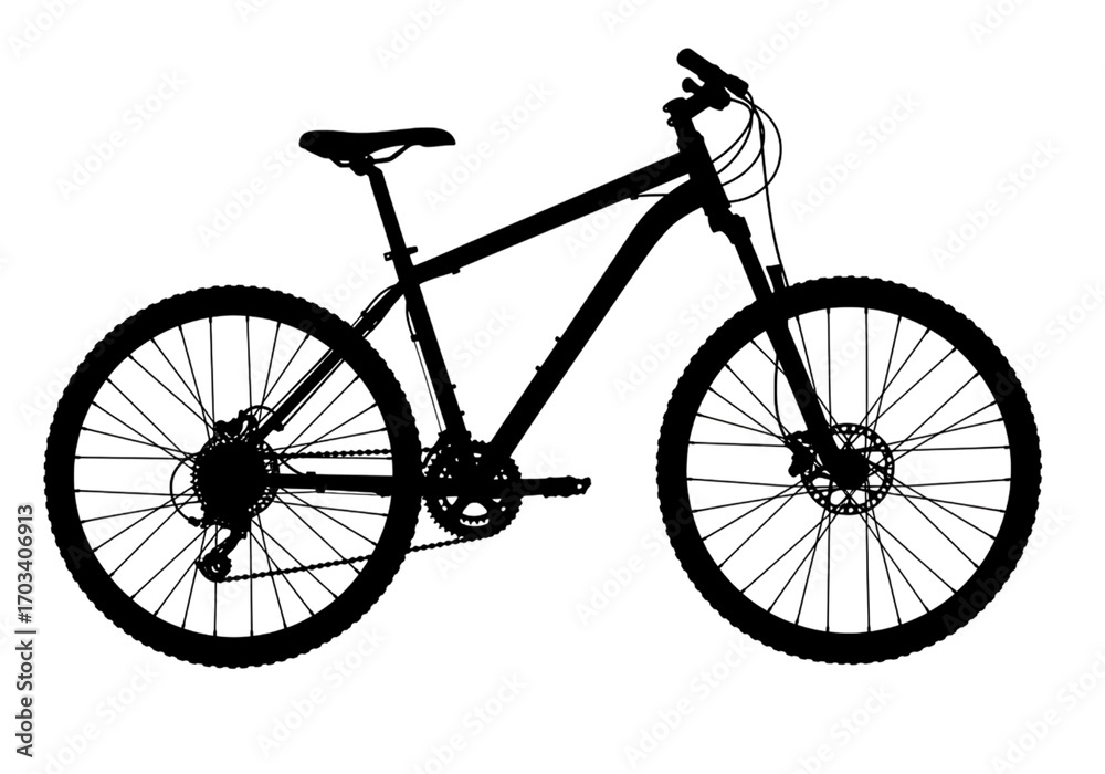 Obraz premium Night Sky Star Trails isolated on transparent background