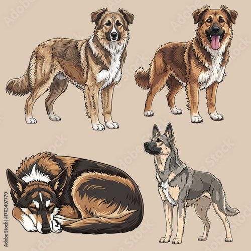 Armant dog Mutiple pose set vector illustration