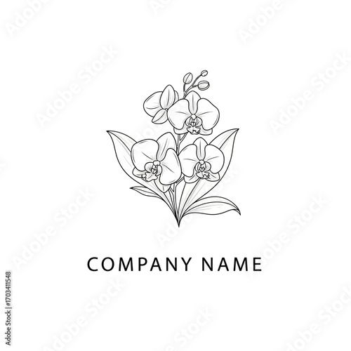 Elegant line art drawing of blooming orchid flowers botanical illustration.