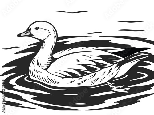 duck on a white