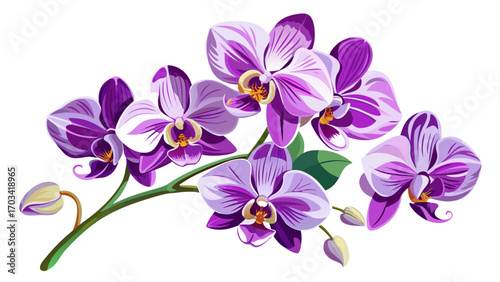 Orchids isolated on white background tilted angle5, graceful blooms in shades of purple and white, representing refinement and delicate charm, ideal for sophisticated floral vector artwork.