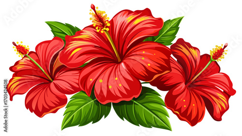 Hibiscus flowers isolated on white background tilted angle5, vivid red petals and yellow stamens, evoking tropical energy and exotic beauty, perfectly suited for dynamic and colorful vector illustrati
