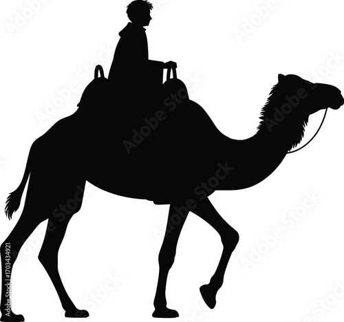 Silhouette man riding camel desert