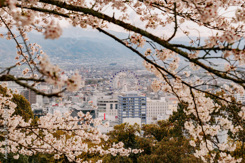 Obraz na płótnie Mastuyama Castle view, Japan