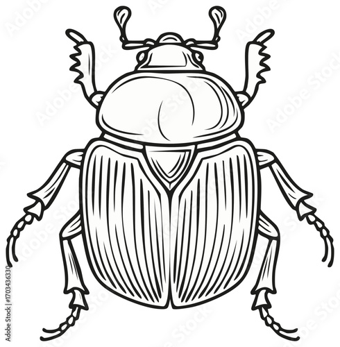 Detailed vector illustration of a stylized scarab beetle, an ancient insect.