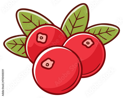 Vector illustration of ripe red cranberries with green leaves a cluster of healthy berries