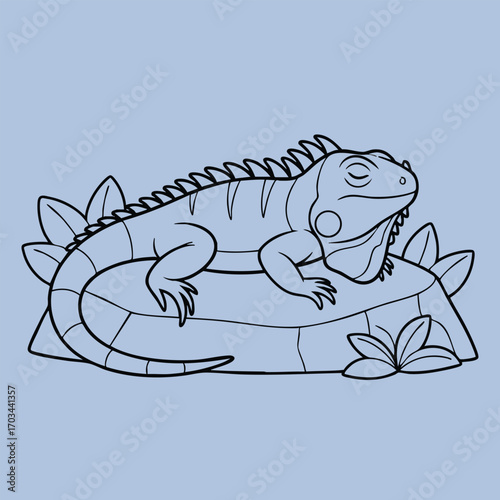 Detailed line art illustration of a resting iguana on a rock surrounded by leaves in a natural environment