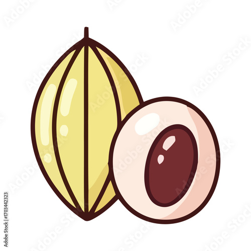 Stylized vector icon of a whole and halved tropical longan fruit, isolated on white background