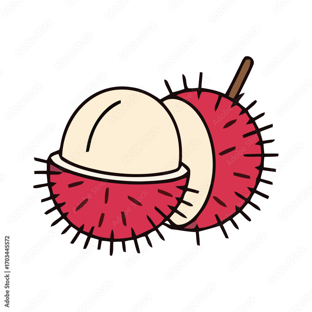 Fototapeta premium Rambutan Fruit Illustration Exotic Tropical Delight