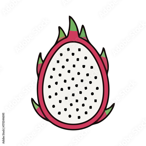 Dragon Fruit Illustration