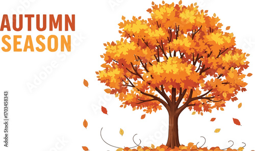 Autumn season with orange leaves falling from a tree for a beautiful seasonal illustration