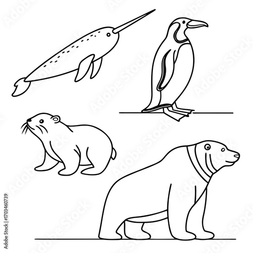 Collection of hand drawn arctic and antarctic animals including a narwhal penguin seal and polar bear