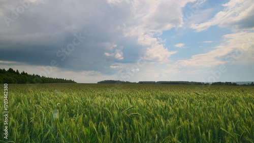 Obraz na plátně Lush, expansive green fields stretch underneath a dramatically beautiful, cloudy