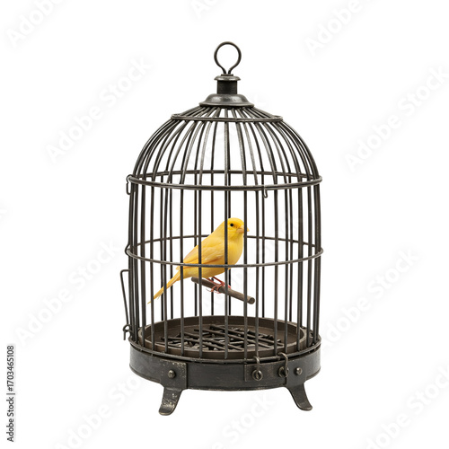 Yellow canary bird sitting in an antique cage isolated PNG with Transparent Background