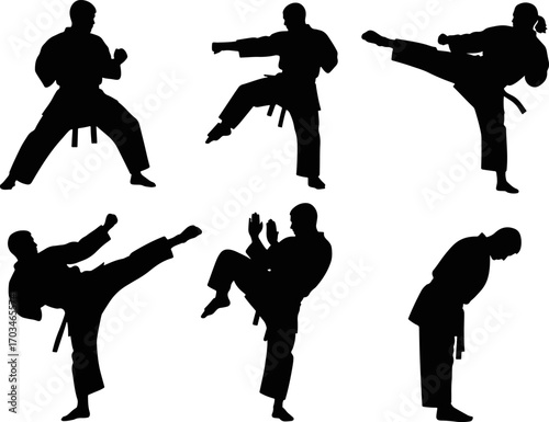 Silhouettes of martial arts practitioners in dynamic action poses showcasing karate and taekwondo kicking and striking techniques against a white background