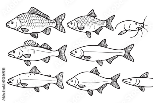 A set of 8 black and white (silhouette) fish icons in line art style. Each icon is simple, minimalistic, with outlines without fill, with details of scales and fins.