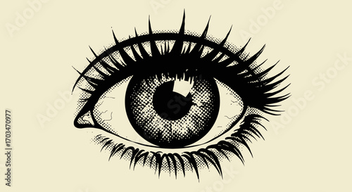 Monochrome vintage vector illustration of a detailed eye with eyelashes