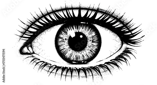 Detailed monochrome drawing of a human eye with intricate eyelashes artwork