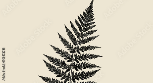 Elegant textured fern frond illustration on a soft beige background