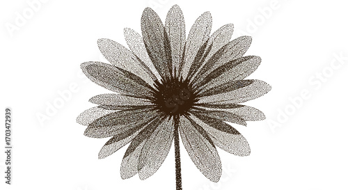 Artistic rendering of a brown daisy flower with delicate dot patterns on white