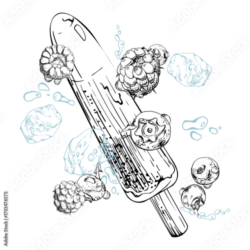 Popsicle stick with juicy berries, ice cubes and cool melting water splashes drops. graphic illustration hand drawn in vector ink. Ice cream flavor art, summer product design, fruit-themed gift wrap