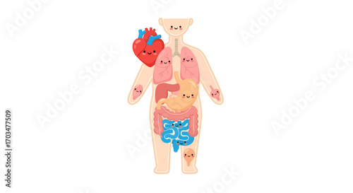 Human internal organs with smiling faces providing a fun and educational illustration for learning