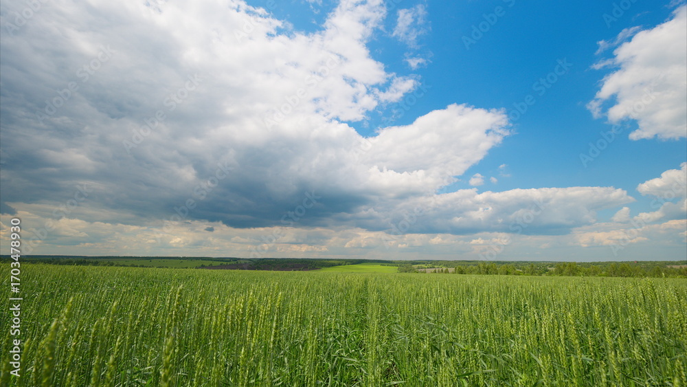 Obraz premium A Breathtaking Landscape Featuring Lush Fields Sprawled Under an Expansive, Dramatic Sky