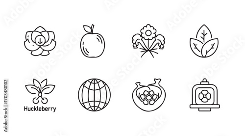 Collection of eight stylized botanical and fruit icons in a minimalist outline silhouette