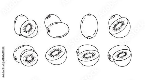 Collection of hand drawn kiwi fruit slices and whole fruits silhouette