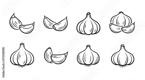 Collection of hand drawn garlic bulbs and cloves in a simple silhouette style