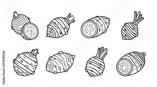 Collection of hand drawn root vegetables in a distinctive silhouette style