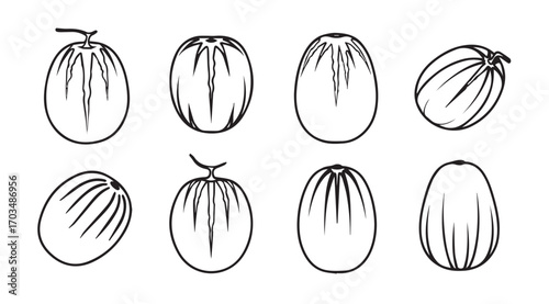 Collection of oval shaped fruit silhouettes with stylized lines and stems