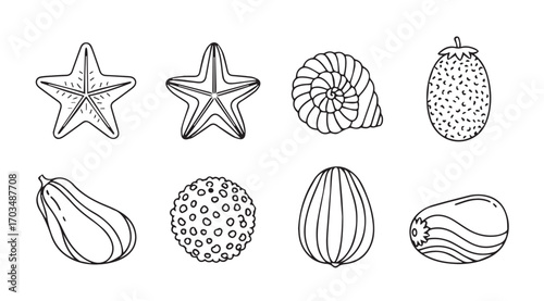 Collection of hand drawn nautical and natural objects silhouette