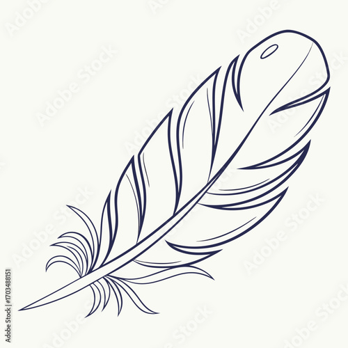 Minimalist hand drawn feather sketch with elegant lines and subtle shading